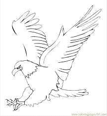 Realistic coloring pages for adults. Eagle8 Coloring Page For Kids Free Eagle Printable Coloring Pages Online For Kids Coloringpages101 Com Coloring Pages For Kids