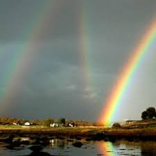 Rainbows Water And Light Study a real image, learn the anatomy of this animal and start practicing! rainbows water and light