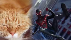 Cats are one of the best parts about bodegas, so it's thrilling that they finally get the superhero. Spider Man Miles Morales Introduces New Spider Cat Companion Murphy S Multiverse