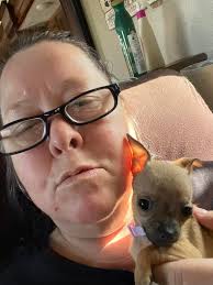 Yorkie puppies running the house