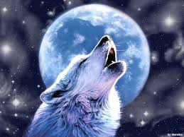 Hast du schon versucht im app store deines handys es gibt auch eine weitere methode, wenn dir ein bild gefällt kannst du per bildsuche mehrere größen finden. Wallpaper Of Wolf 1024 768 Cool Wolf Backgrounds Adorable Wallpapers Wolf Howling At Moon Wolf Background Wolf Howling