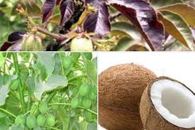 Recette De Savon Magique Pour La Chance L Affection Le Deblocage Hoodoo Conjure Special Prayers Baby Witch