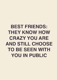 40 Crazy Funny Friendship Quotes For Best Friends Dreams Quote