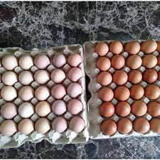Check spelling or type a new query. Telur Ayam Negeri Putih Kg Terbaru Agustus 2021 Harga Murah Kualitas Terjamin Blibli