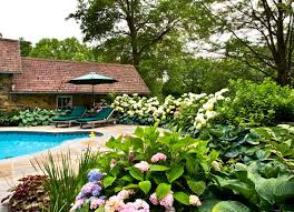 Auch wenn aus nachbarn manchmal freunde werden im eigenen garten auf der terrasse oder dem balkon. Sichtschutz Aus Pflanzen Diese 14 Gewachse Eignen Sich Als Grune Wand