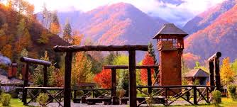 Zilele încep aici cu înviorare și yoga cu tălpile goale pe iarba plină de rouă și se încheie cu foc de tabara în „templul păgân sub cerul instelat. Cazare In Brezoi Valcea Satul De VacanÅ£Äƒ FraÅ£ii Jderi Utopia Verde Wishlist Cazare