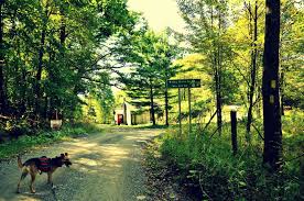 Check out these seven places to ski and snowboard in the mountain state. Top 10 Hiking Adventures In Greater Morgantown West Virginia