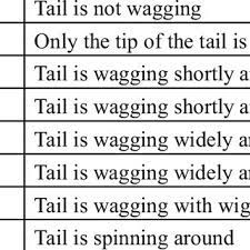 Categories Of Dog Tail Wagging Tw During Operant Conditioning Training Download Table