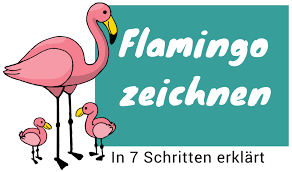 Flamingo Zeichnen Lernen Eine Anleitung In 7 Schritten
