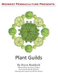 Pdf Permaculture Plant Guilds Permaculture Permaculture Design Permaculture Gardening