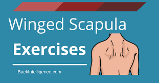 Image result for Winged Scapula