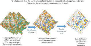 Bon.live android 2.6.0 apk download and install. Land Use Mosaics In Mediterranean Rainfed Agricultural Areas As An Indicator Of Collective Crop Successions Insights From A Land Use Time Series Study Conducted In Cap Bon Tunisia Sciencedirect