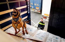 Royal dutch police dog association, holland) somewhat frequently. Bijt De Politiehond Niet Te Snel En Te Hard Nrc