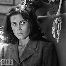 The Bewitched History Book by David Pierce