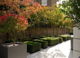The Trees Have Been Pruned To Show The Beautiful Structure Of The Interwoven Stems Description From Pin Garden Design Garden Landscape Design Landscape Design