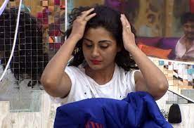 Kishwer Merchantt To Gizele Thakral Here S How Bigg Boss Contestants Look Without Make Up This time, every contestant is given an exotic location where in the. kishwer merchantt to gizele thakral