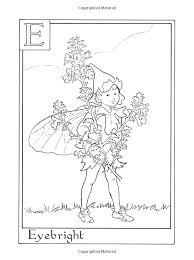 The Flower Fairies Alphabet Colouring Book Amazon Co Uk Cicely Mary Barker Books Fairy Coloring Pages Fairy Coloring Alphabet Coloring Pages
