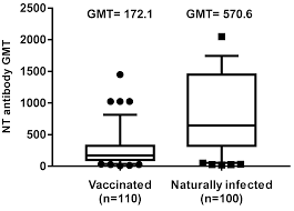 Gmt ↔ eastern standard time. Vaccines Free Full Text Seroprevalence To Measles Virus After Vaccination Or Natural Infection In An Adult Population In Italy Html
