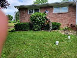 Get free shipping on qualified lawn disease control or buy online pick up in store today in the outdoors department. Alan S Lawn Care Home Facebook