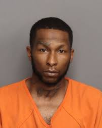 On May 25th at approximately 12PM, Animal Control was dispatched to  Carriage Farms Court in Gray Court in reference to a malnourished dog. Upon  arrival, the deputy observed a dog to be