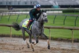 The others were street sense (2006/2007) and nyquist (2015/2016). Vahbyj 2zjg1tm