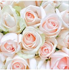 Find here artificial flowers, fake flower manufacturers, suppliers & exporters in india. Bulk Roses In 2021 Bulk Roses Wholesale Flowers Wholesale Roses