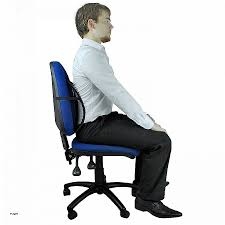 Posture Support For Office Chair Best Home Office Furniture Check More At Http Www Drjamesghoodblog Com Posture Support For Office Chair