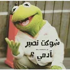 تحشيش عكاريك مقدم الى كروب #سوبر ماركت الفيس بوك مع تحياتي حسين الربيعي سوبري وافتخر. Ø£ÙØ¶Ù„ ØµÙˆØ± Ø¶ÙØ§Ø¯Ø¹ Ù…Ø­Ø´Ø´Ù‡ Ù…Ø­Ø´Ø´ÙŠÙ† Ø¹Ø§Ù„Ø£Ø®Ø± Amino