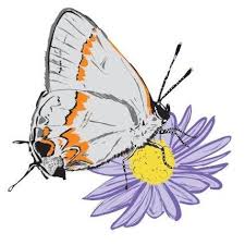 The Clifton Institute | Warrenton VA - Facebook