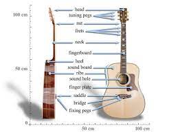May 27, 2019 · however, the best acoustic guitar you can find in india is only from the best guitar itself, not the ukulele. What Is The Best Guitar For Beginners In India Quora