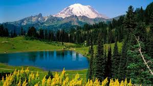 Mountains Landscapes Nature Forests National Park Mount Rainier Washington State Wallpaper 1920x1080 255952 Wallpaperup