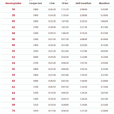 R Cane Training Blog Polar Running Index