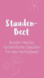 Bunter Herbst Farbenfrohe Stauden Fur Das Herbstbeet Plant Happy Stauden Winterharte Stauden Herbstbepflanzung