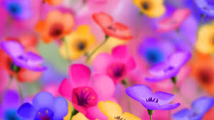 Dress up your desktop and mobile screens with inspiring backdrops from deviantart's extensive wallpaper collection. Free For Phone Wallpaper 1920x1080 57025