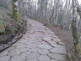 Il monte cavo, con i suoi 950 m s.l.m., è la seconda montagna per altezza del complesso dei colli albani detto anche vulcano laziale attraversiamo con attenzione la via dei laghi e rientriamo nel bosco fino ad intercettare la spettacolare via sacra, la percorriamo. Tripadvisor La Via Sacra ØµÙˆØ±Ø© Via Sacra Rocca Di Papa