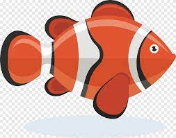 Maybe you would like to learn more about one of these? Buka Gambar Grafis Ikan Badut Oranye Logo Png Pngegg