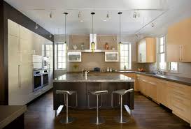 kitchen track lighting houzz