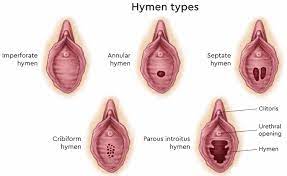 If you do have a hymen, you probably can't see or feel it it's basically impossible to see your hymen yourself, even if you're using a mirror and a flashlight. Hymen Definition Location Types Hymen Surgery
