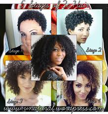 Stages Of 3c Hair Types Natural Hair Inspiration Natural Hair Styles Natural Hair Styles For Black Women