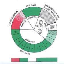Fertilitycare Center Of Jackson Tn Nfp Natural Family Planning Fertility Awareness Natural Child Birth