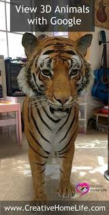 Go to google.com and search animals like tiger, dog, cat or please see below to check the list. View 3d Animals With Google Animals Creative Home Creative