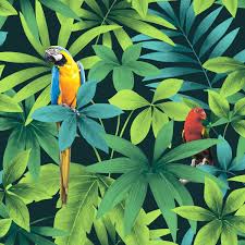 Papier Peint Papier Perroquet Vert Papier Peint Papier Peint Motif Fond D Ecran Tropical