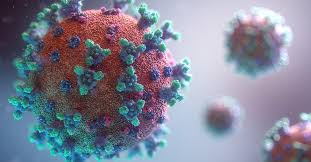 Genomic sequencing linked their infections with a couple who had returned from india. Perth Covid 19 Week Recap 20 Active Cases In Wa
