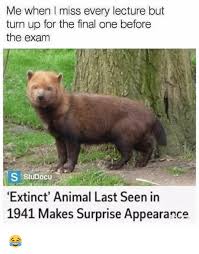 Memes Turn Up And Animal Me When I Miss Every Lecture But Turn Up For The Final One Beforee The Exam S Funny Pictures Funny Animal Memes Funny Animals