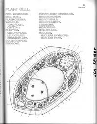 Use the colors indicated in the box. 33 Label And Color The Animal And Plant Cells Answers Label Design Ideas 2020