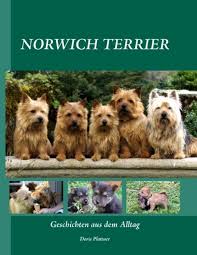 Daran erkennen sie seriöse züchter. Norwich Terrier Von Doris Plattner Isbn 978 3 8482 5797 3 Buch Online Kaufen Lehmanns De