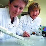 Annual Report and Accounts 2005/06