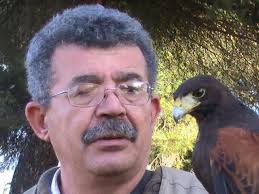 Tay, mi pequeño gran yanki