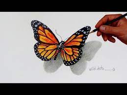 For a beginner, it will be good to start by drawing outline of the butterfly sketch. How To Draw A Butterfly Simple And Easy Steps Youtube Butterfly Drawing Butterfly Sketch Easy Butterfly Drawing