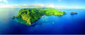 Image result for Cocos